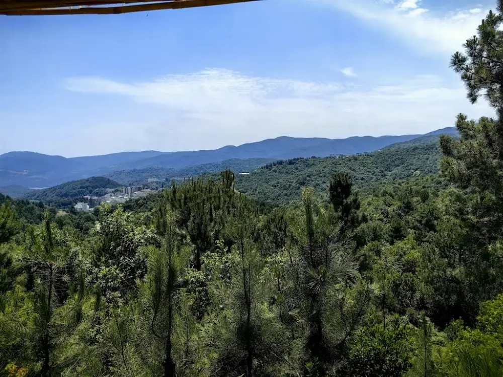 Gokcetepe Restaurant — Balık Lokantaları, Termal · fotoğraf 3