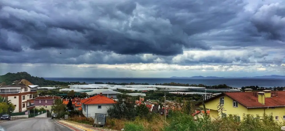 Kumsalda Balık — Balık Lokantaları, Merkez · fotoğraf 2