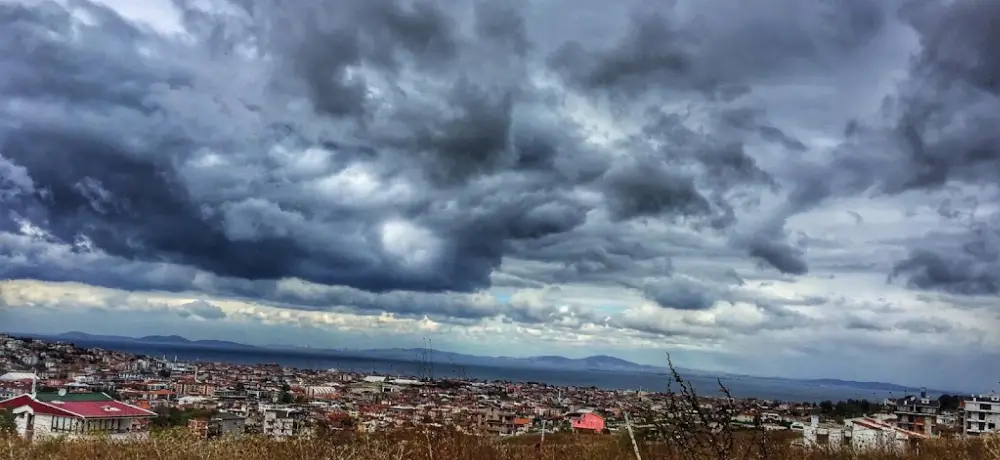 Kumsalda Balık — Balık Lokantaları, Merkez · fotoğraf 4