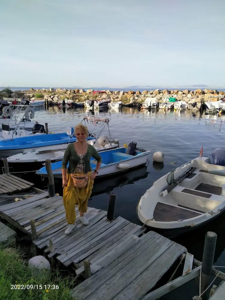 Balıkçı Barınağı — Balık Lokantaları, Çınarcık · fotoğraf 4