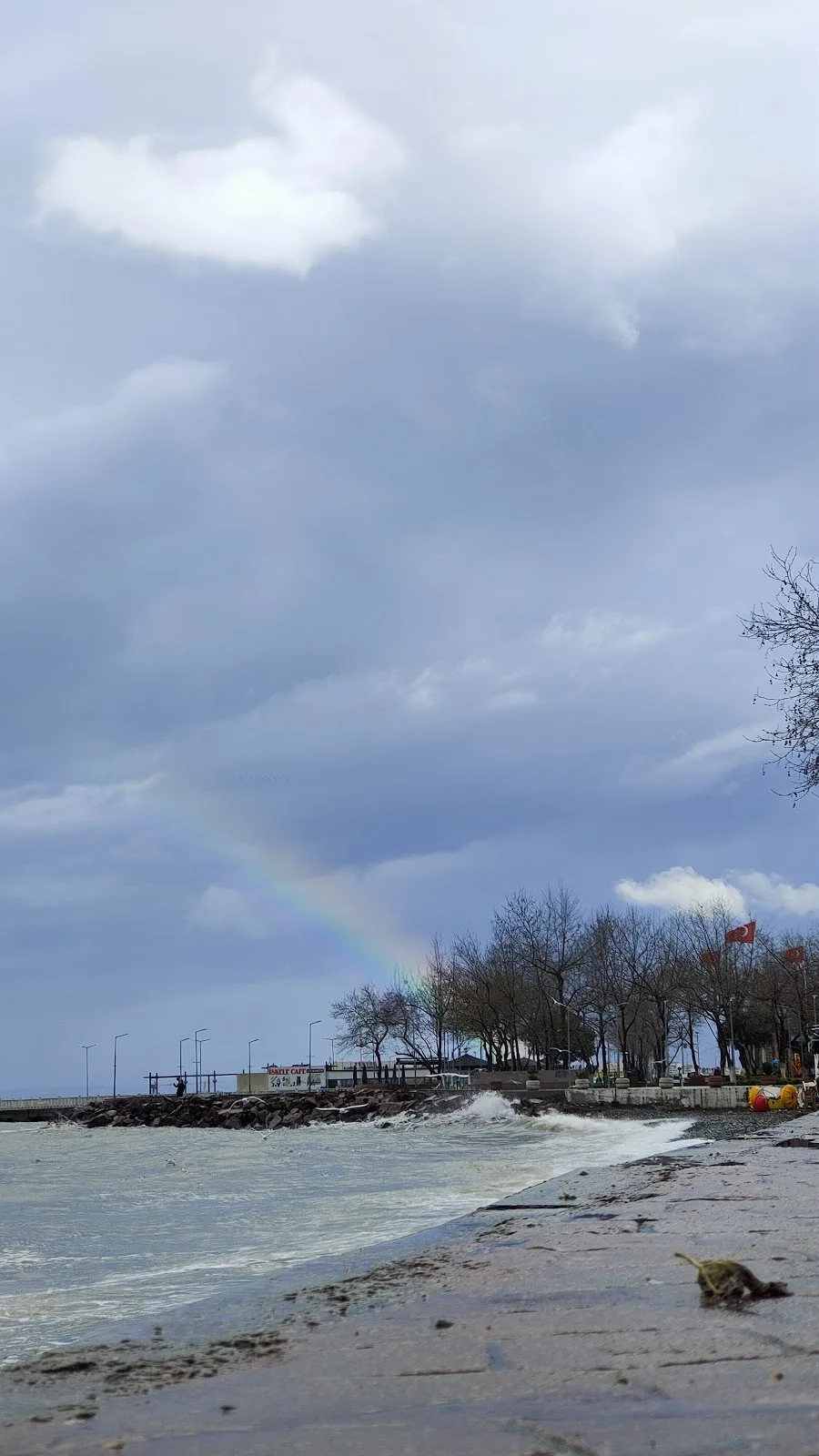 Mudurnu Tavukçuluk — Kasaplar, Çınarcık · fotoğraf 1