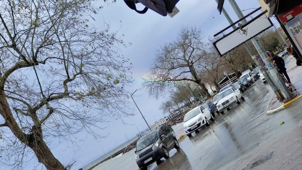 Mudurnu Tavukçuluk — Kasaplar, Çınarcık · fotoğraf 2