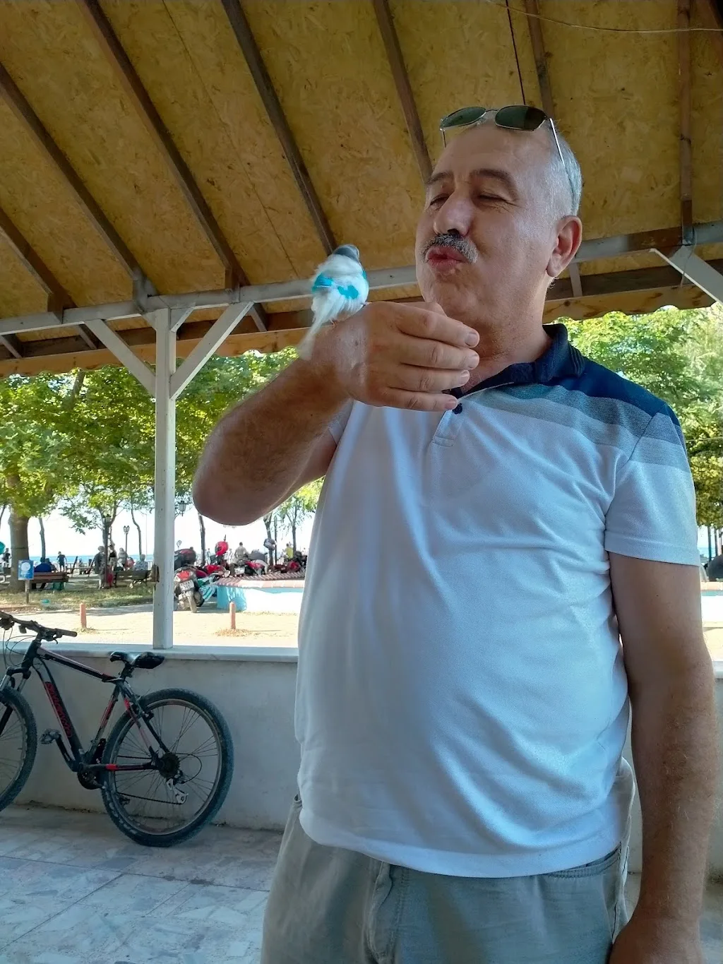 Yalı Kasap — Kasaplar, Çınarcık · fotoğraf 1