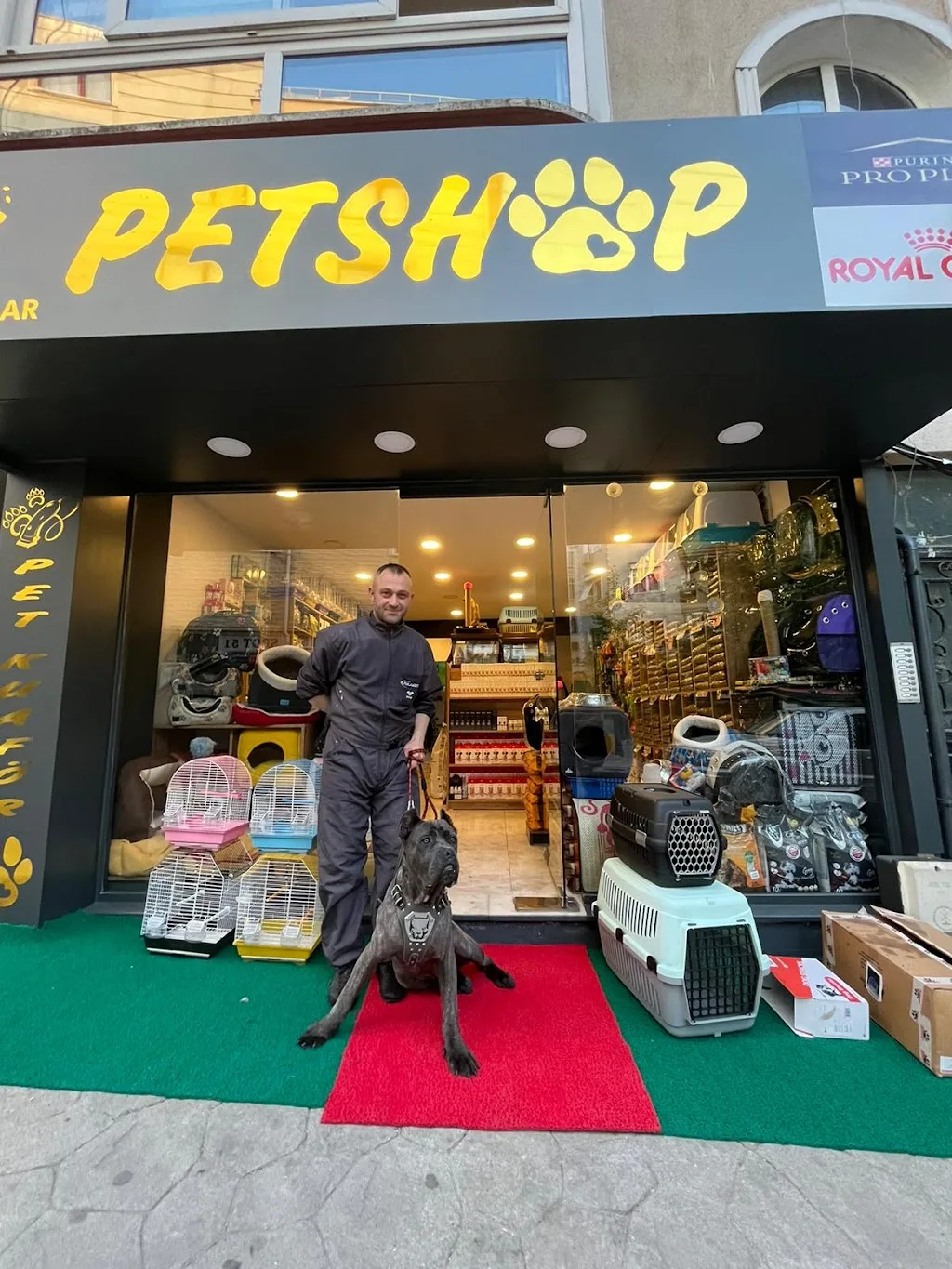 ÇINARCIK KÜÇÜK CANLAR PETSHOP & PET KUAFÖR — Kasaplar, Çınarcık · fotoğraf 1