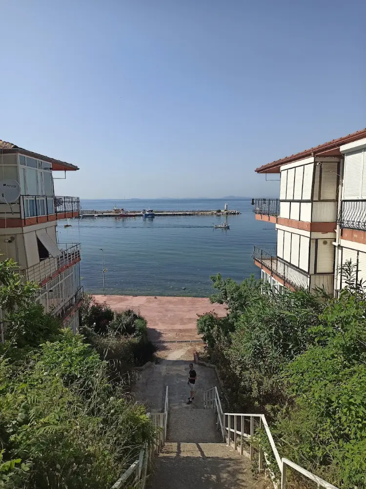 Bim — Marketler, Çınarcık · fotoğraf 2