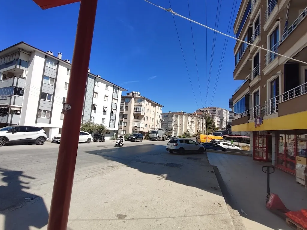 Şok Market — Marketler, Çınarcık · fotoğraf 1