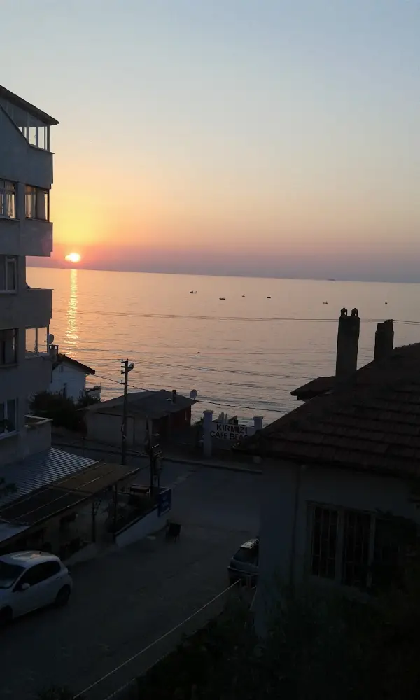 Asu Tekel — Marketler, Çınarcık · fotoğraf 3