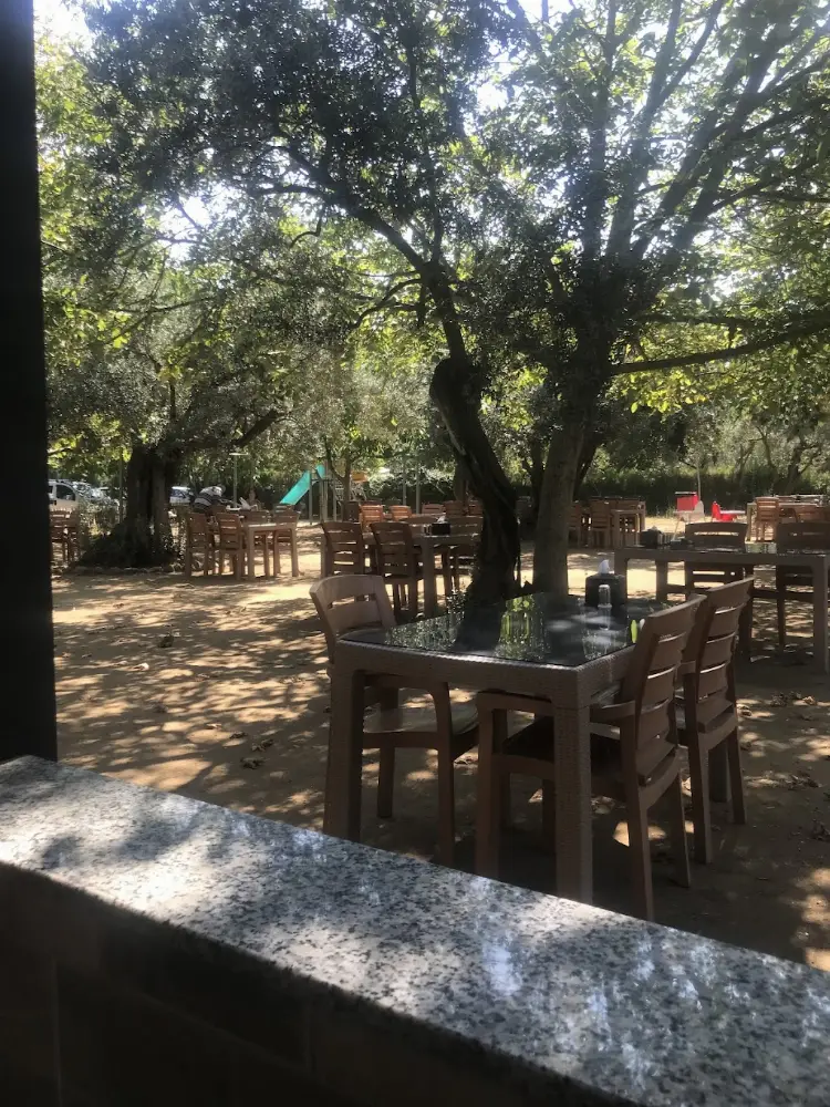 Koza Kafe&Restoran — Kebapçılar, Çınarcık · fotoğraf 4