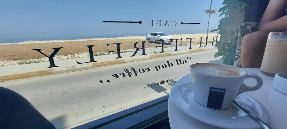 Butterfly — Kafeler, Çınarcık · fotoğraf 3