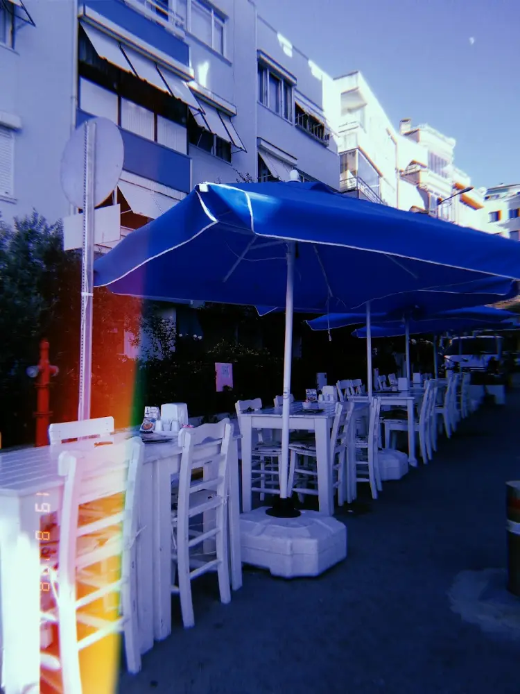 Beyazcafe — Kafeler, Çınarcık · fotoğraf 4