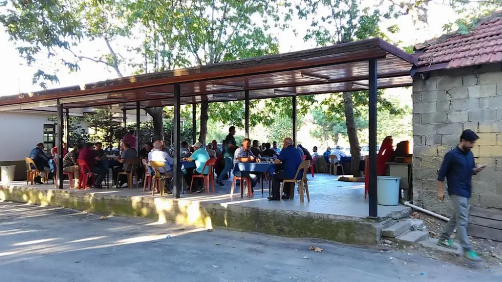 NECO MEMO CENTER — Kafeler, Çınarcık · fotoğraf 2