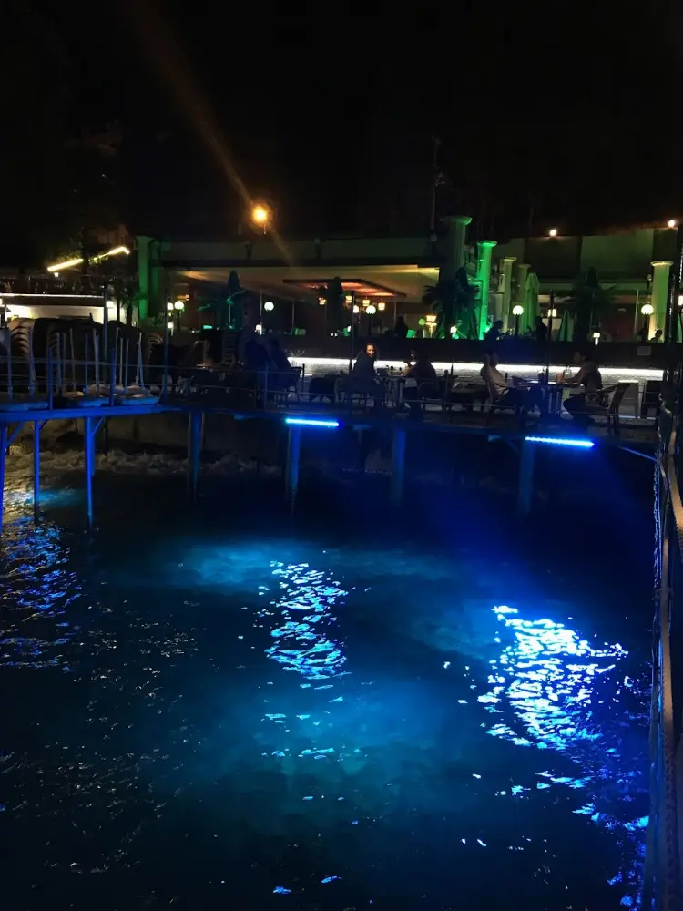 Çamlık Beach HAS BAHÇE — Kafeler, Çınarcık · fotoğraf 3