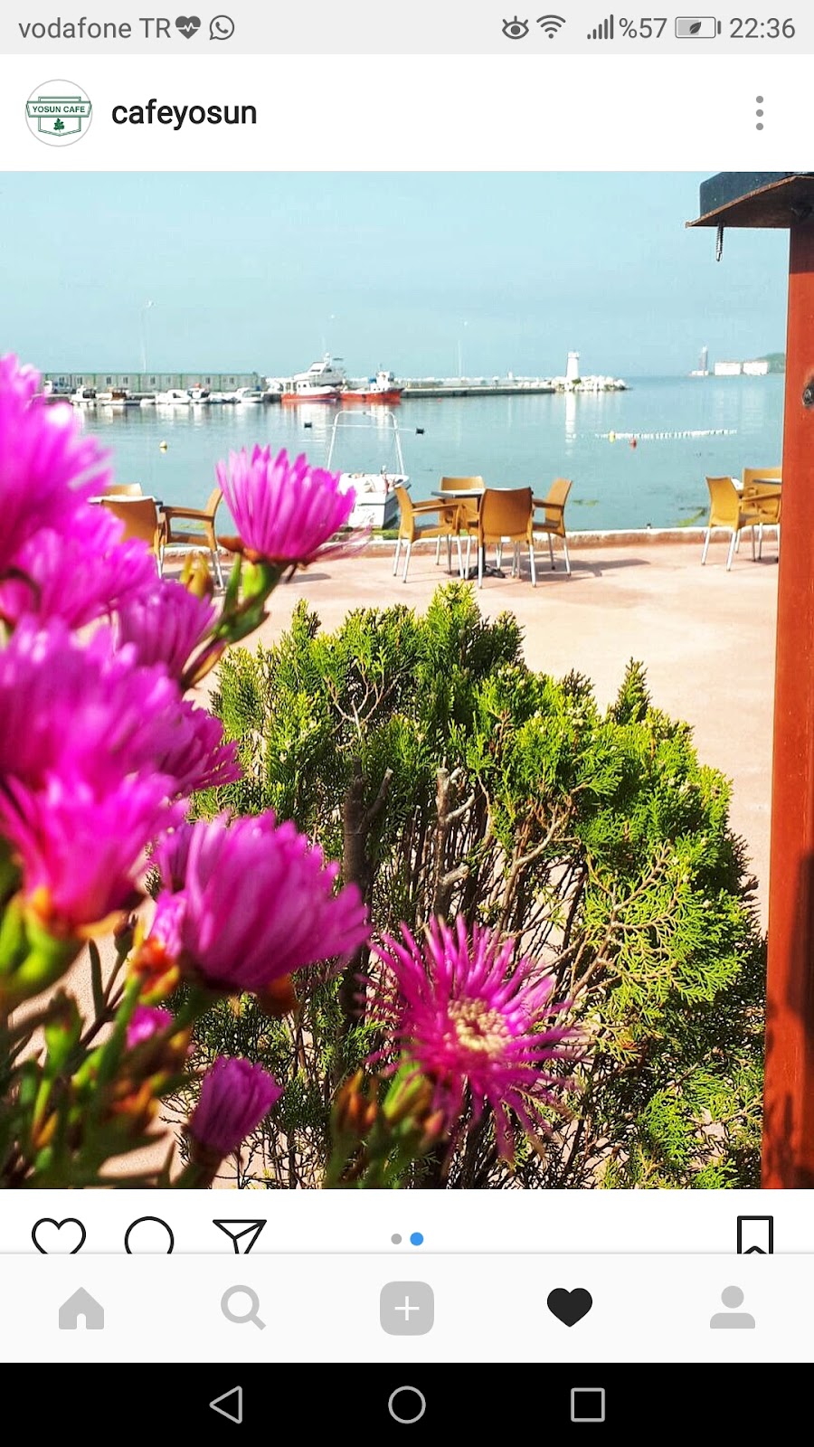 Yosun Cafe — Kafeler, Çınarcık · fotoğraf 1