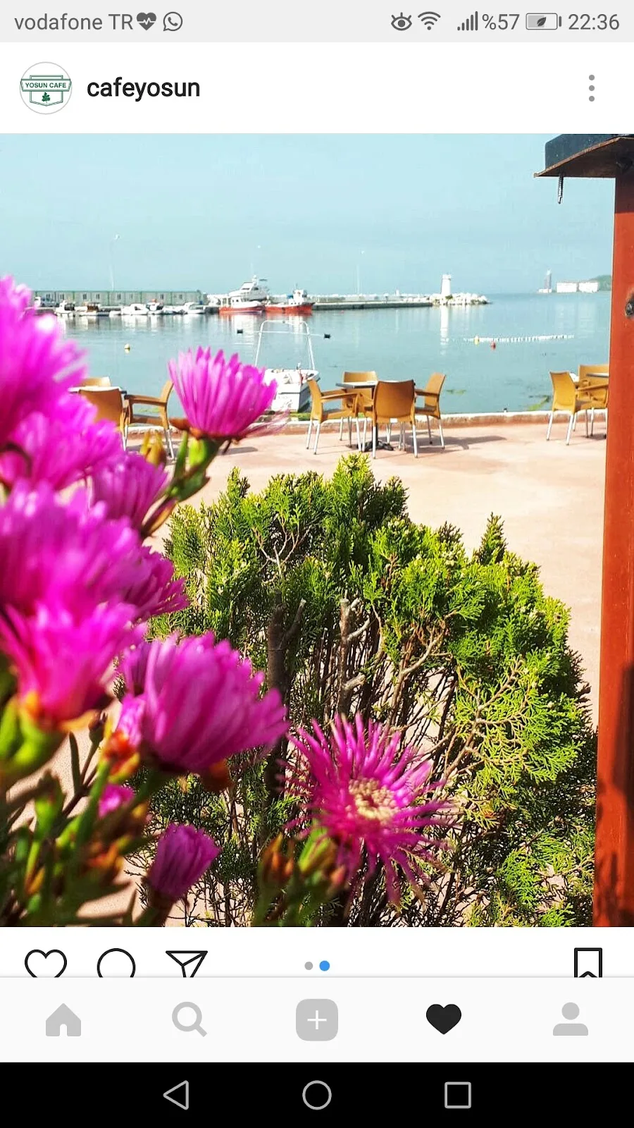 Yosun Cafe — Kafeler, Çınarcık · fotoğraf 1
