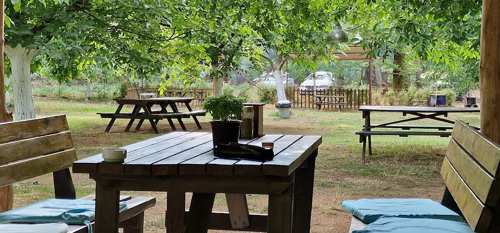 Cevizlibag Restoran Kamp Ve Piknik