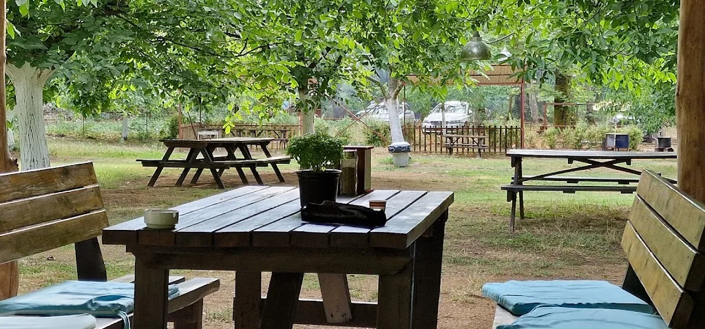 Cevizlibag Restoran Kamp Ve Piknik — Kafeler, Çınarcık · fotoğraf 1