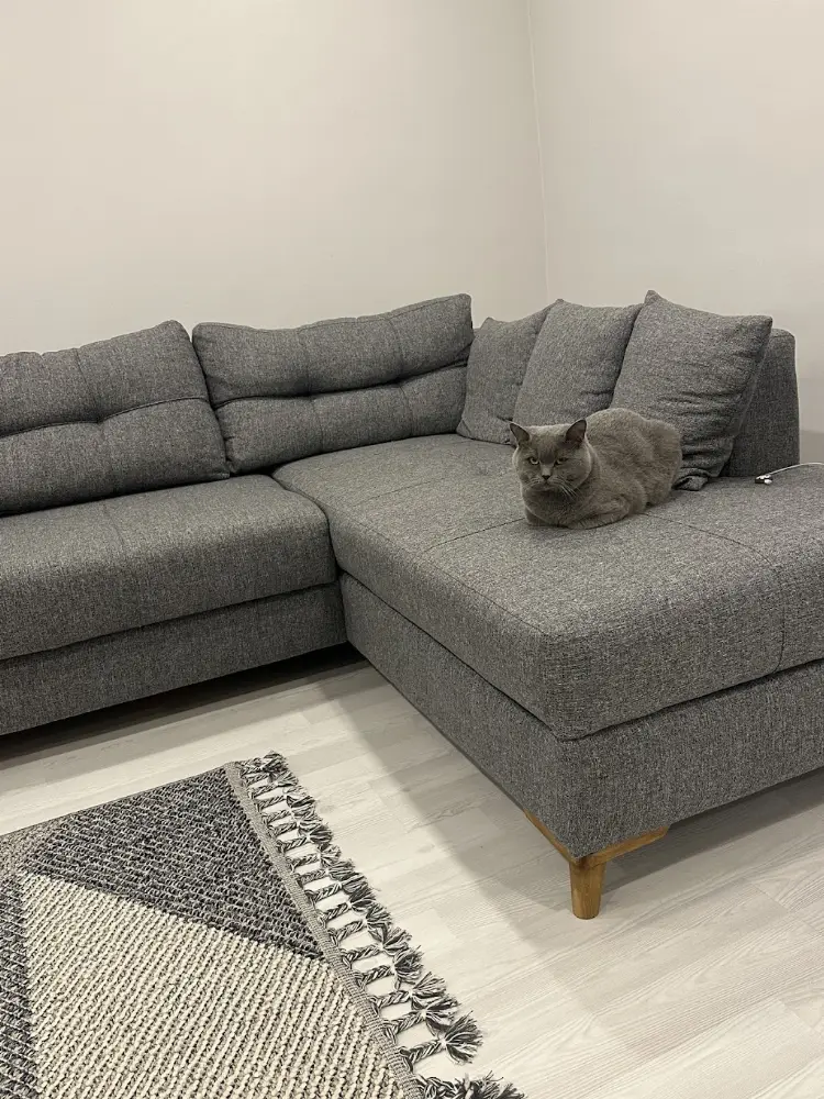 Tamev - Sanayi Mahallesi Mağazası — Mobilya, Kağıthane · fotoğraf 2
