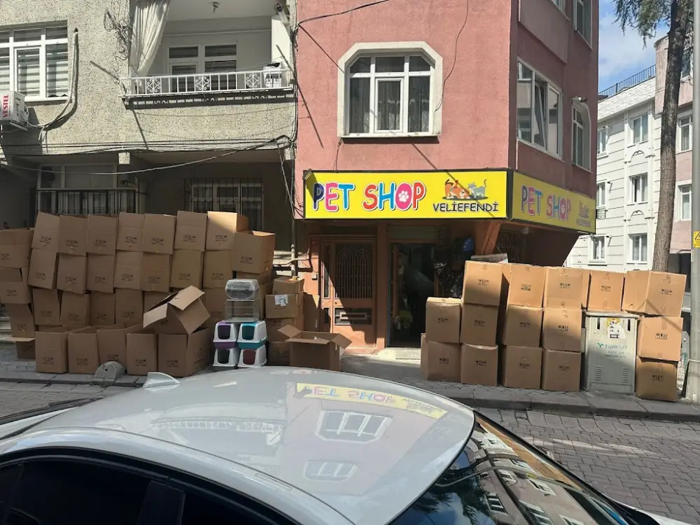 Ambalaj Market — Ambalaj ve Paketleme, Fatih · fotoğraf 4
