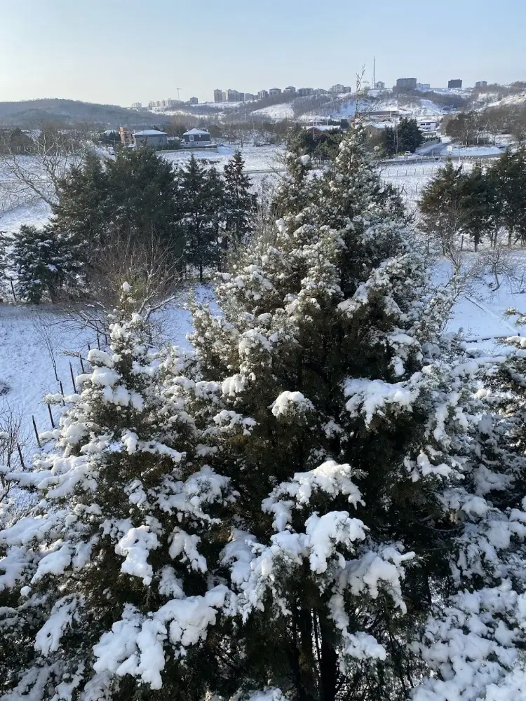 Çerkezköy yüzme — Yüzme Havuzları, Çerkezköy · fotoğraf 4