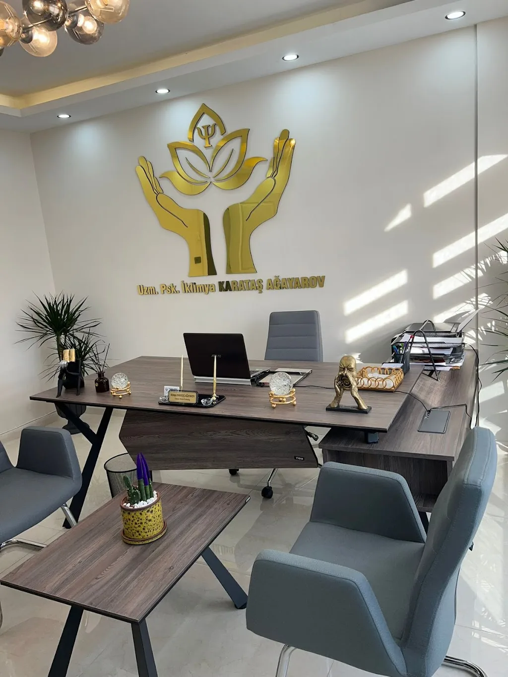 Ceyhan Lotus Psikoloji — Psikologlar, Ceyhan · fotoğraf 1