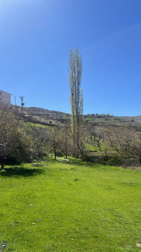 Psk. Ece Ünverdi — Psikologlar, Sarıçam · fotoğraf 2