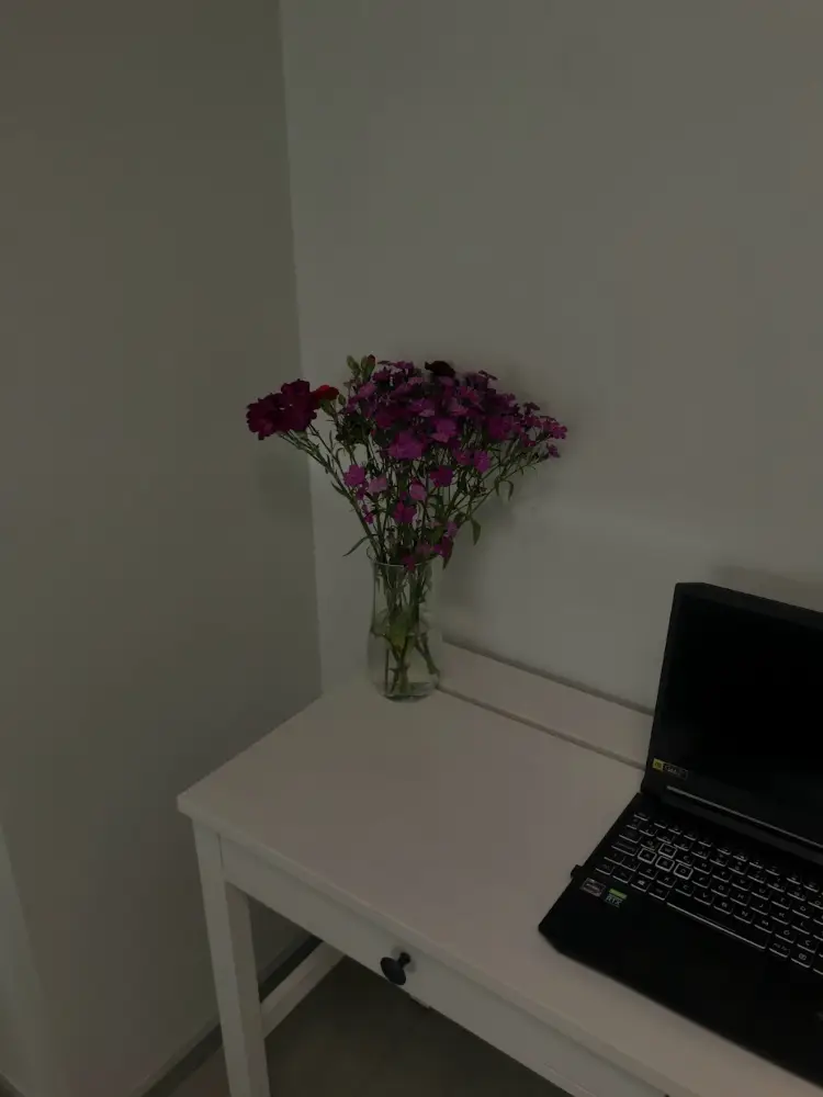 Adana Psikolog Doktor Begüm Eser Terliksiz — Psikologlar, Seyhan · fotoğraf 3