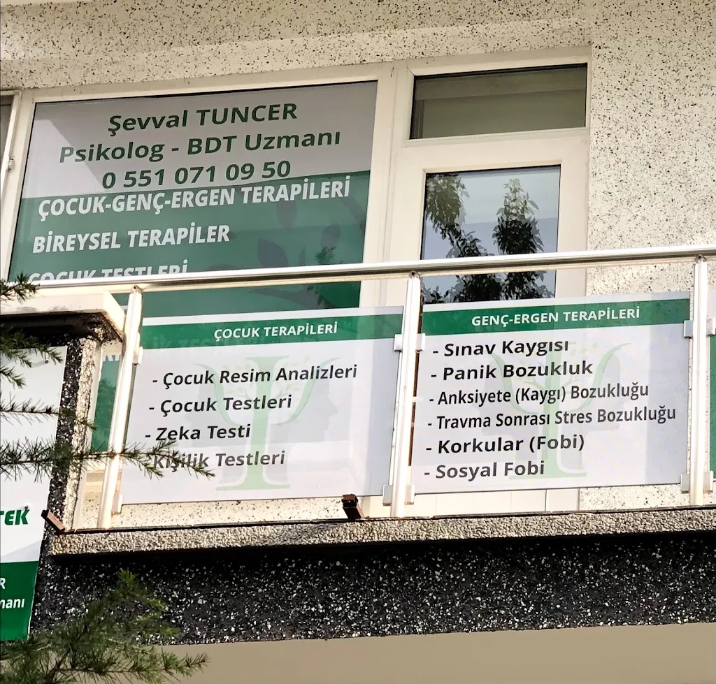 Uzman Klinik Psikolog Şevval Tuncer Türk — Psikologlar, Merkez · fotoğraf 1