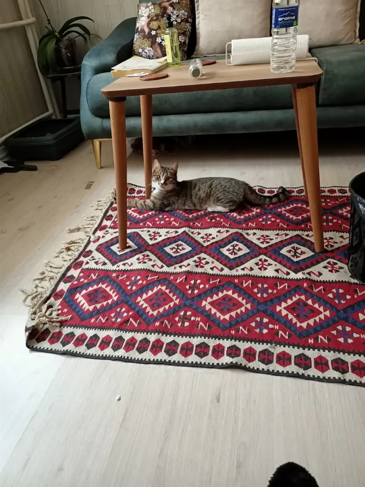 Uzman Klinik Psikolog Gurbet Zehra Bildik — Psikologlar, Merkez · fotoğraf 3