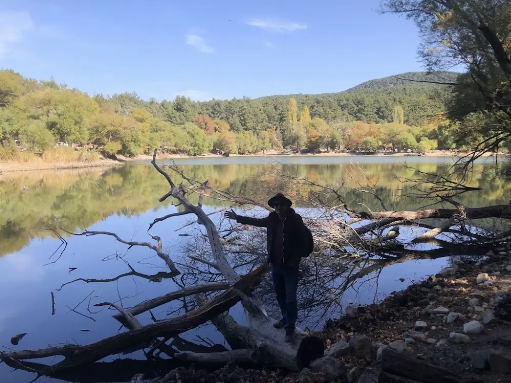 Karagöl Orman Kampı — Kamp Alanları, Karşıyaka · fotoğraf 4