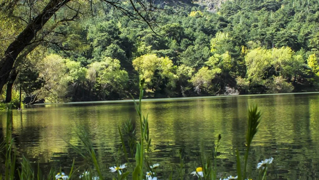 Karagöl Orman Kampı — Kamp Alanları, Karşıyaka · fotoğraf 1