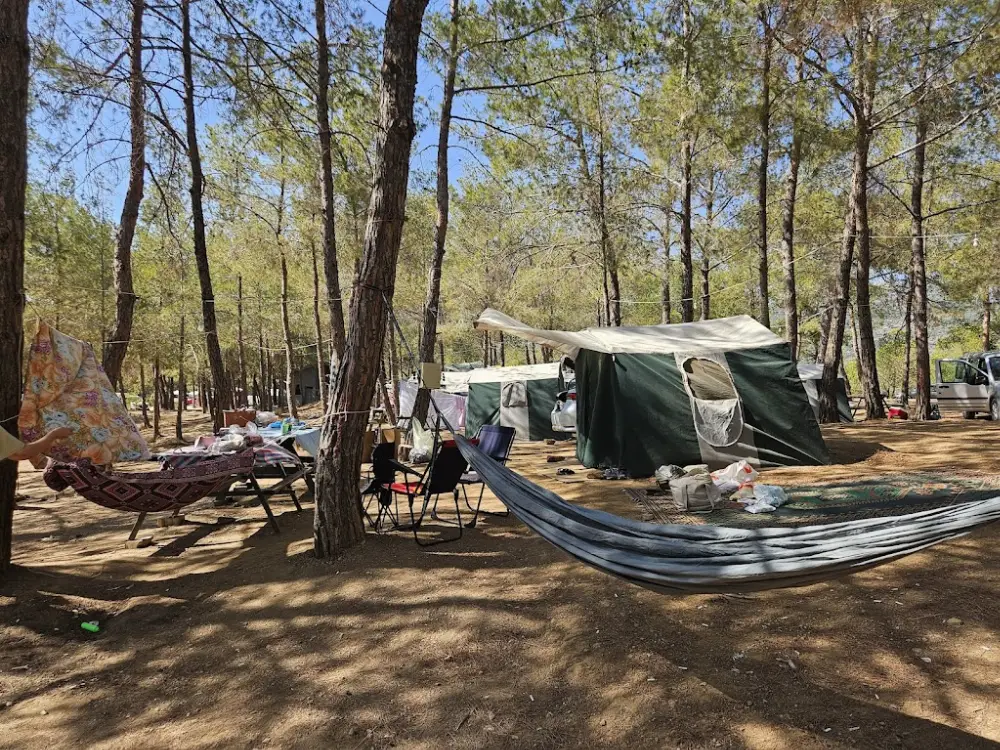Kalemlik Orman Kampı — Kamp Alanları, Menderes · fotoğraf 3