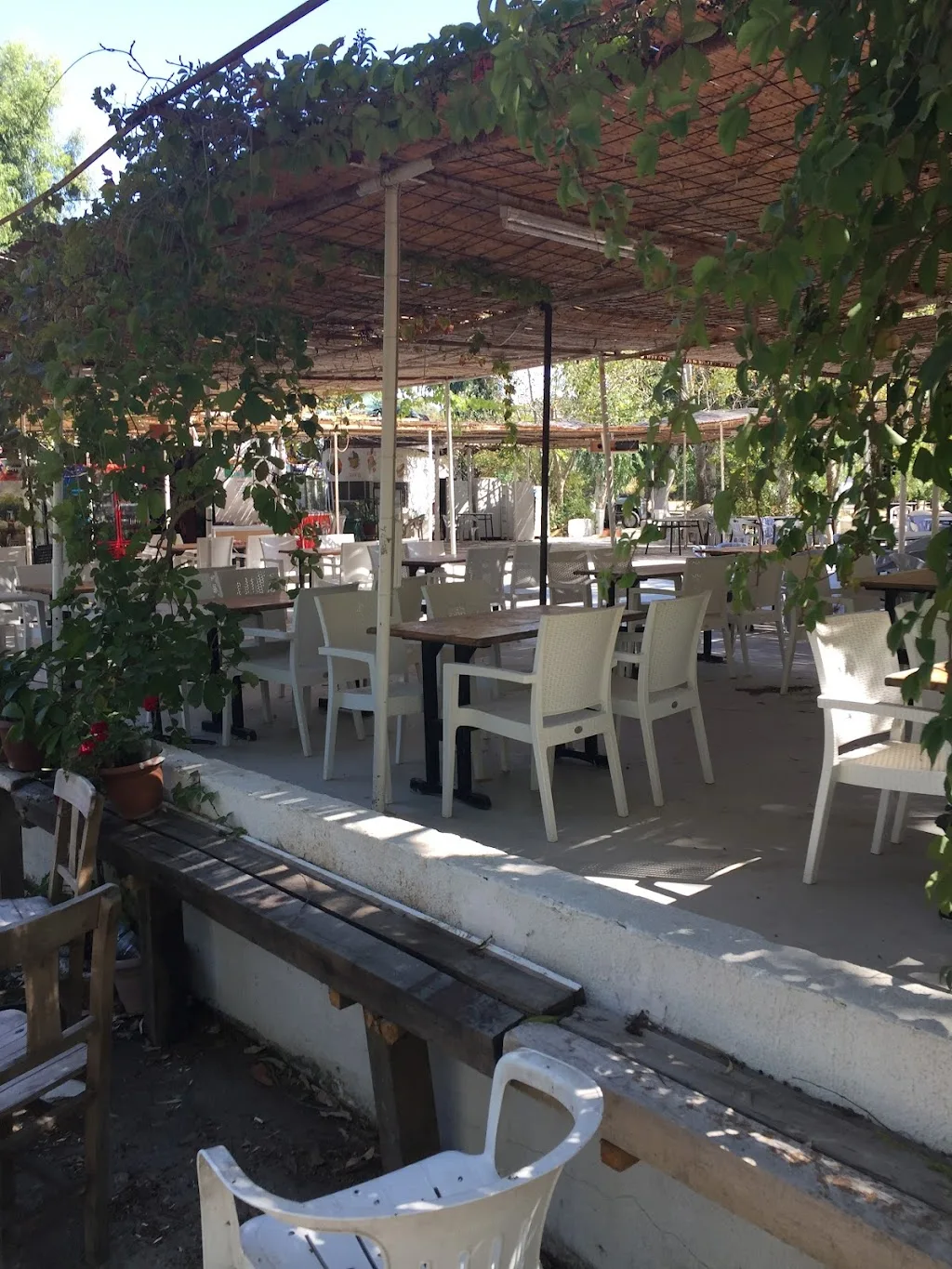 Acar Camping — Kamp Alanları, Foça · fotoğraf 1