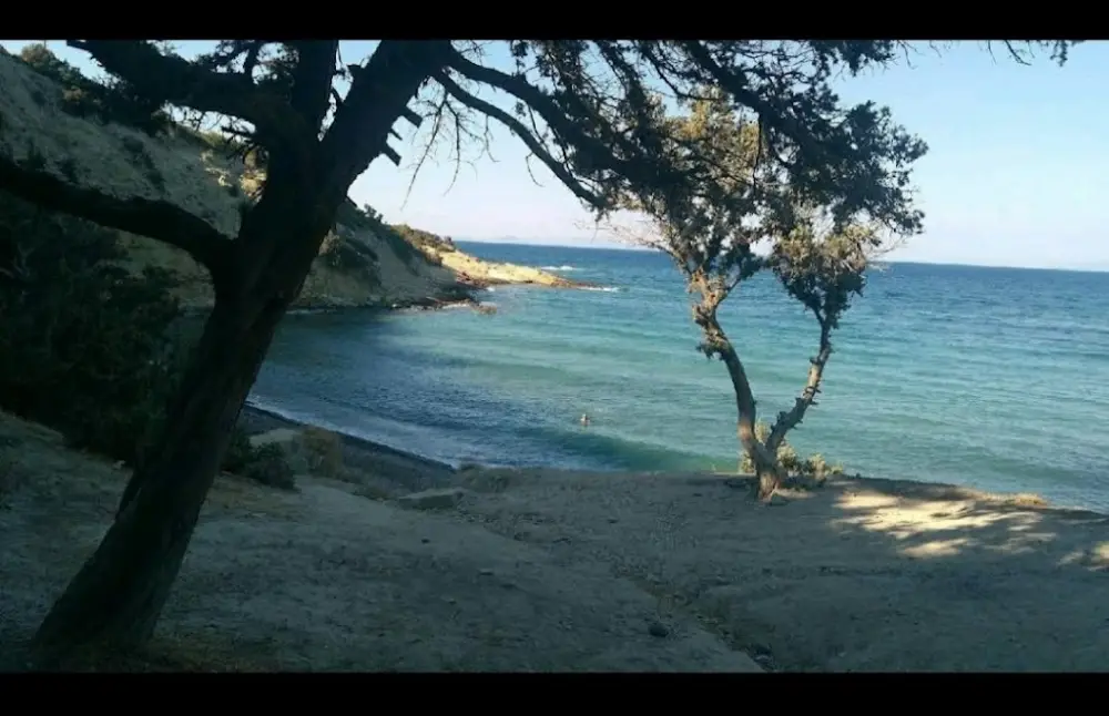 Dolungaz (Işık koyu) bakir koy — Kamp Alanları, Karaburun · fotoğraf 3