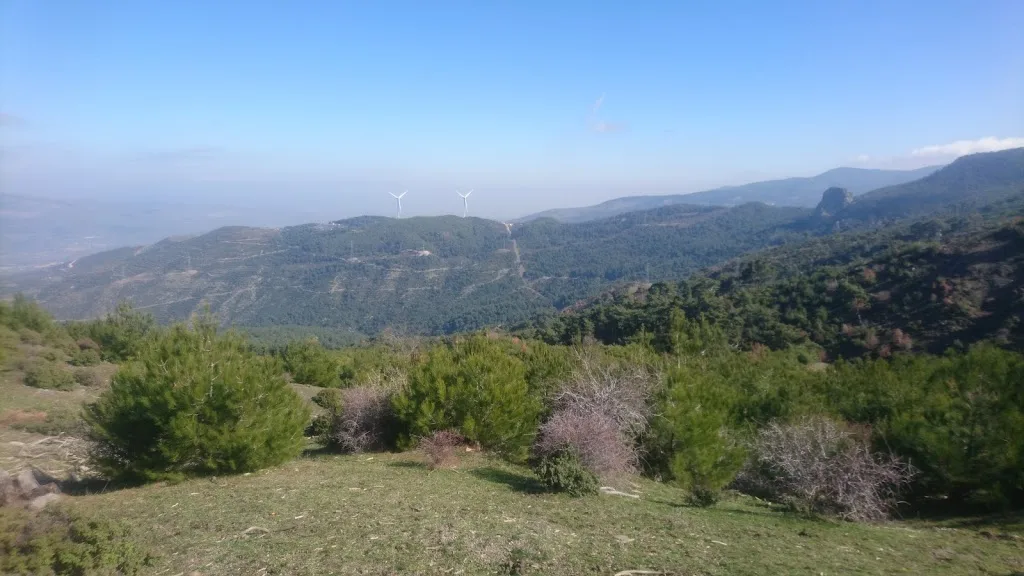 Yamanlardağı Tabiat Parkı — Kamp Alanları, Menemen · fotoğraf 1