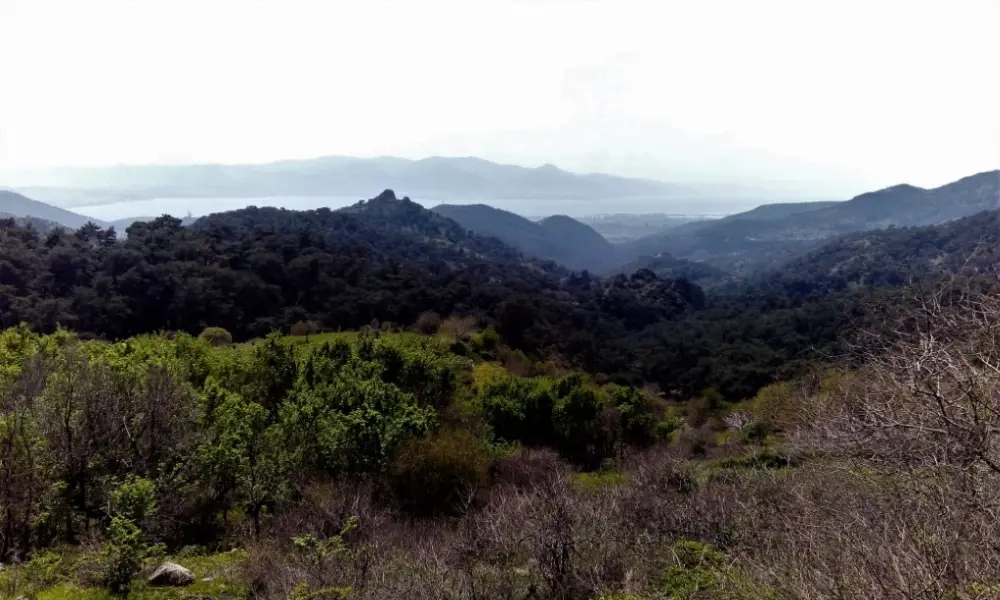 Yamanlardağı Tabiat Parkı — Kamp Alanları, Menemen · fotoğraf 4