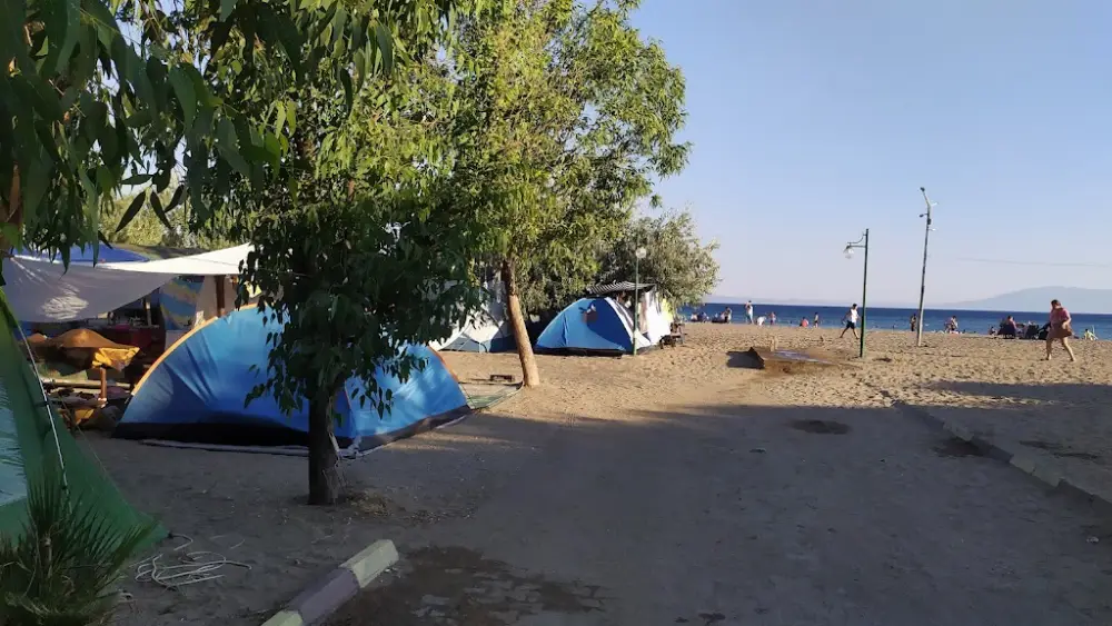 Gümüldür Orman Kampı — Kamp Alanları, Menderes · fotoğraf 3
