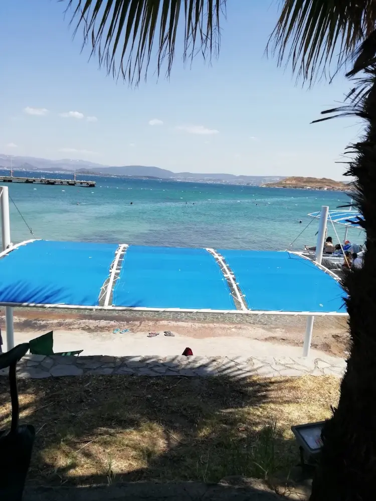 YollucaKamp — Kamp Alanları, Urla · fotoğraf 2