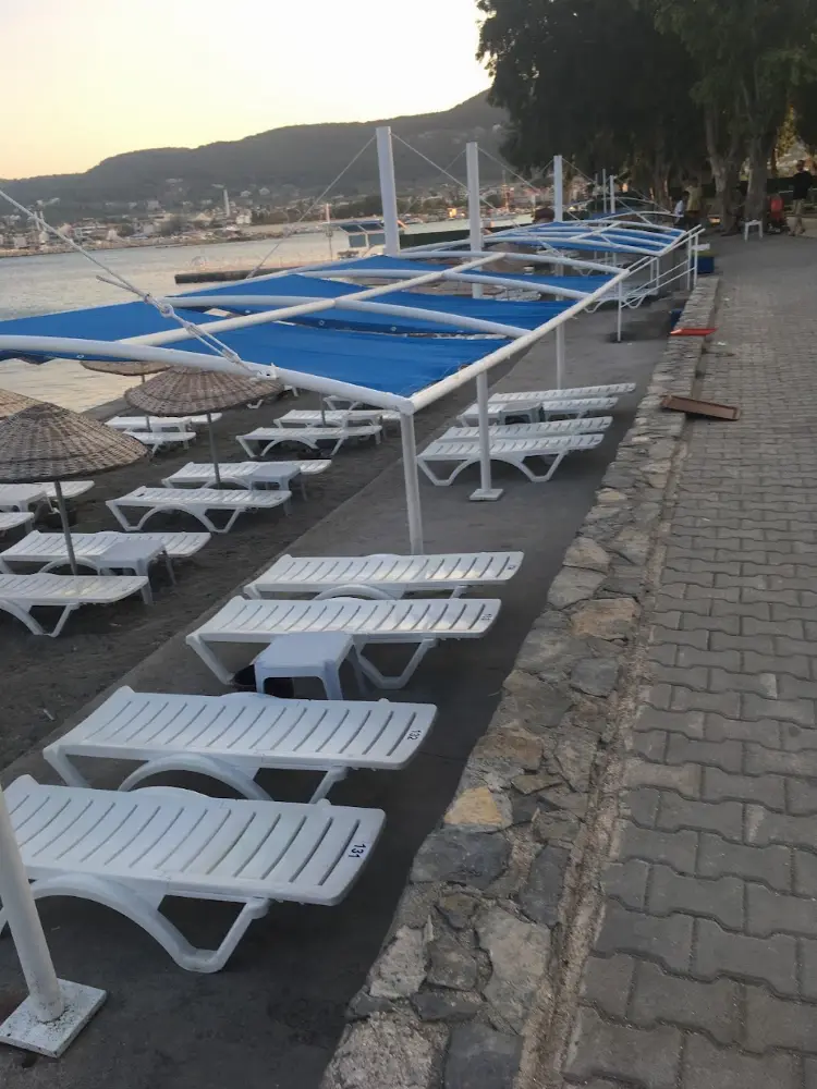 YollucaKamp — Kamp Alanları, Urla · fotoğraf 4