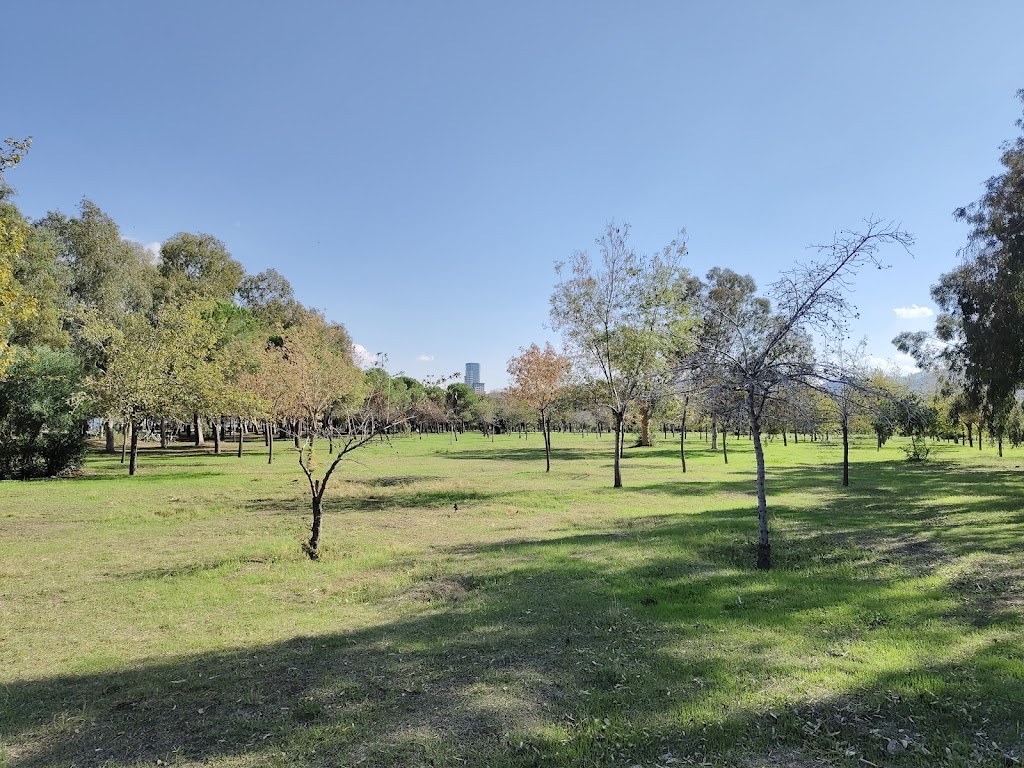 İzmir Büyükşehir Belediyesi İnciraltı Kent Ormanı