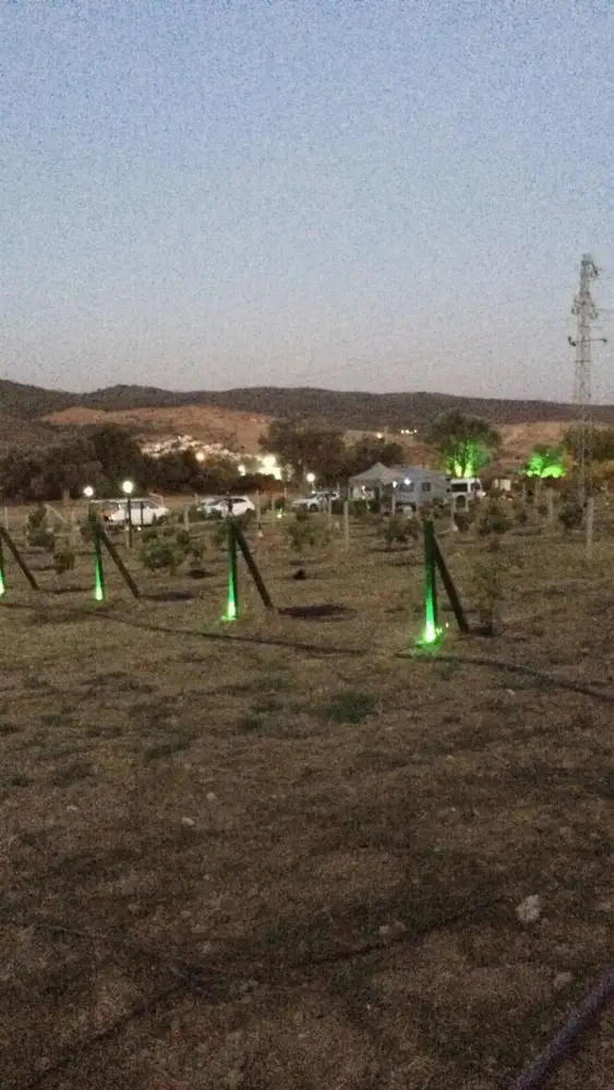 Hide Away Camping & Parking — Kamp Alanları, Güzelbahçe · fotoğraf 4