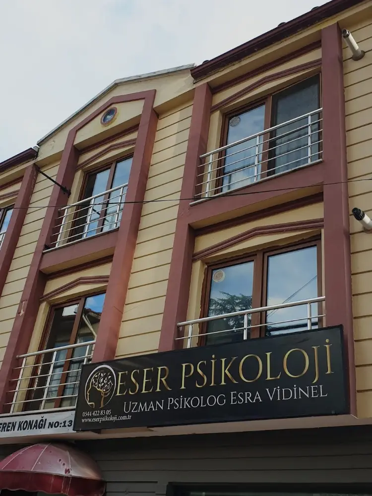 Uzman Psikolog Esra Vidinel / Eser Psikoloji — Psikologlar, Merzifon · fotoğraf 4