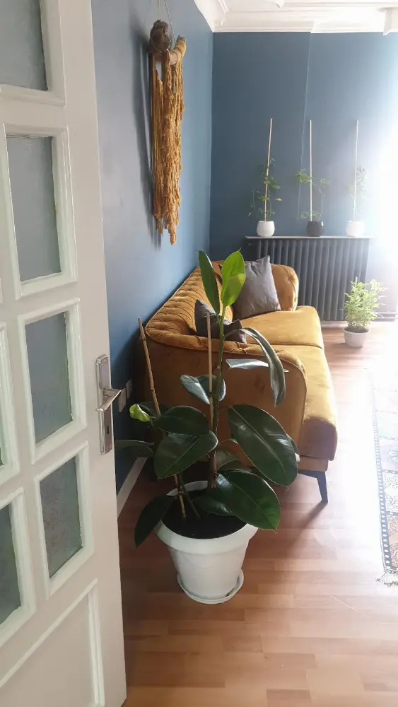 Cemre Psikoloji — Psikologlar, Keçiören · fotoğraf 2