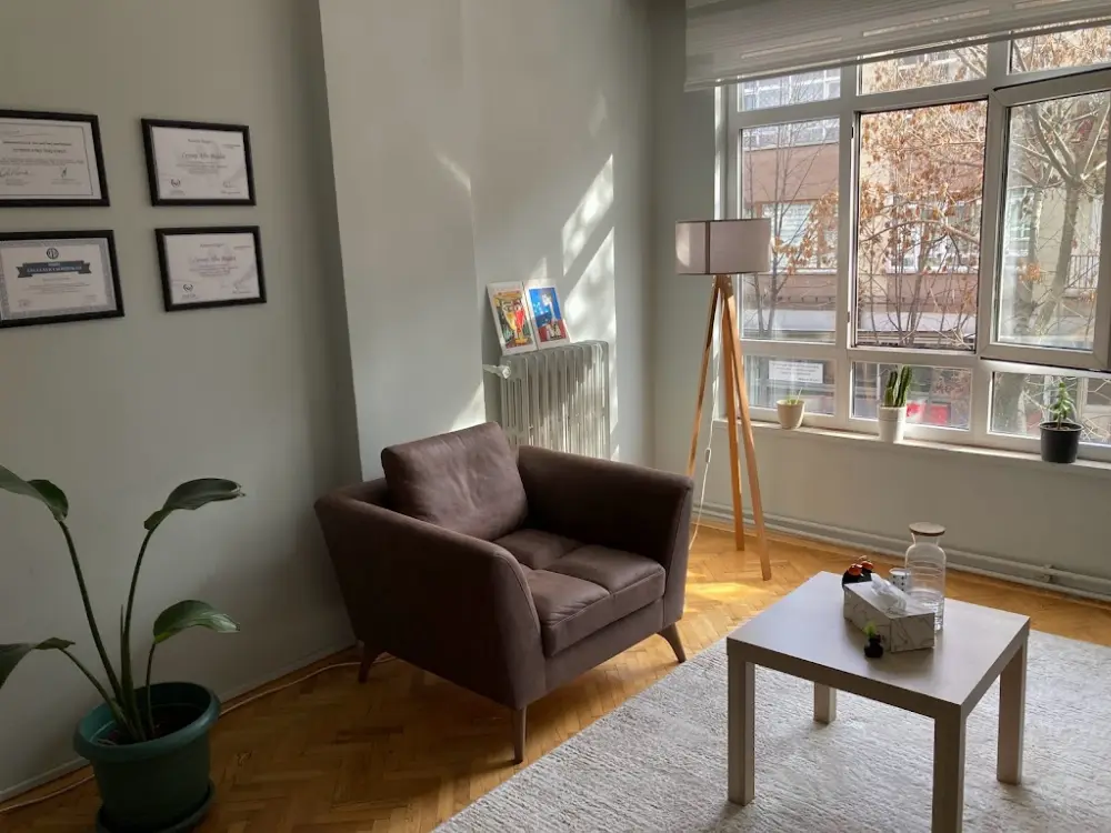 ÇINAR PSİKOLOJİ VE EĞİTİM MERKEZİ — Psikologlar, Çankaya · fotoğraf 3