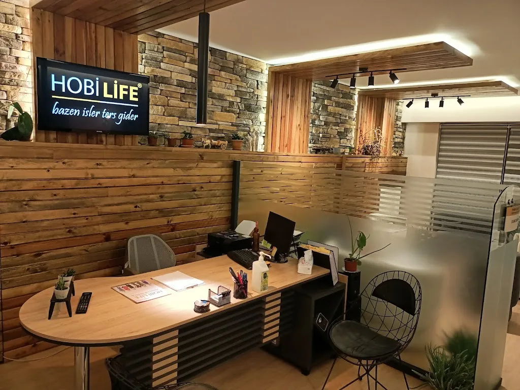 Hobi Life Psikoloji Merkezi — Psikologlar, Ayaş · fotoğraf 1