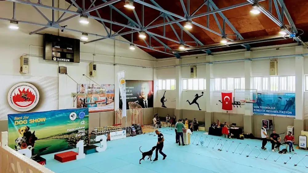 Samsun Büyükşehir Belediyesi Spor Tesisleri — Yüzme Havuzları, Atakum · fotoğraf 2