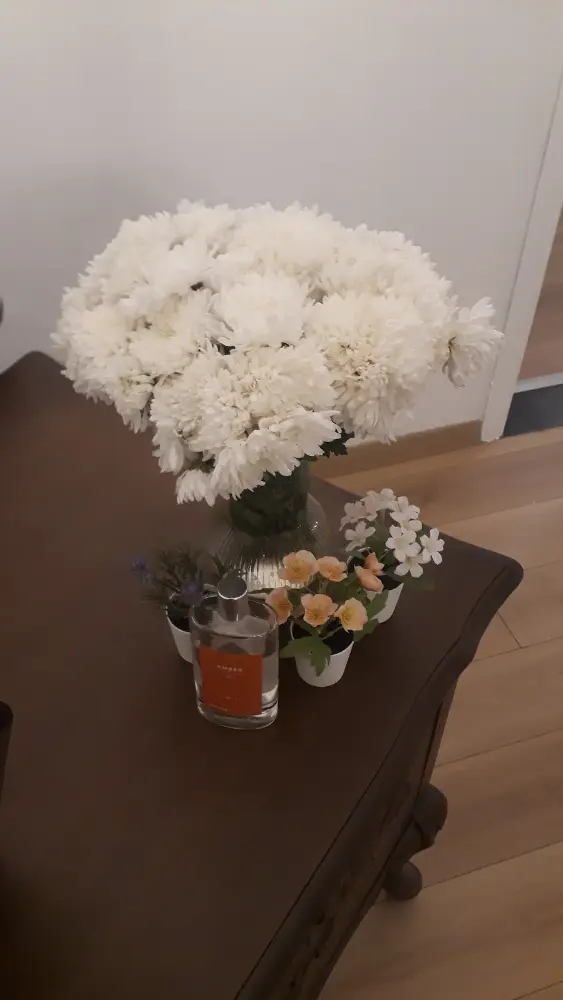 Çankaya Psikoterapi — Psikologlar, Çankaya · fotoğraf 4