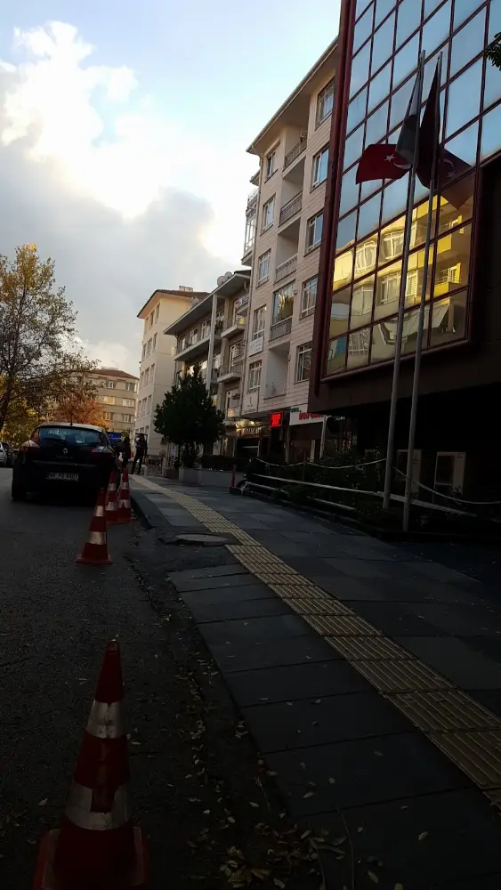Küçük Ağaç Psikolojik Danışma Merkezi — Psikologlar, Çankaya · fotoğraf 3