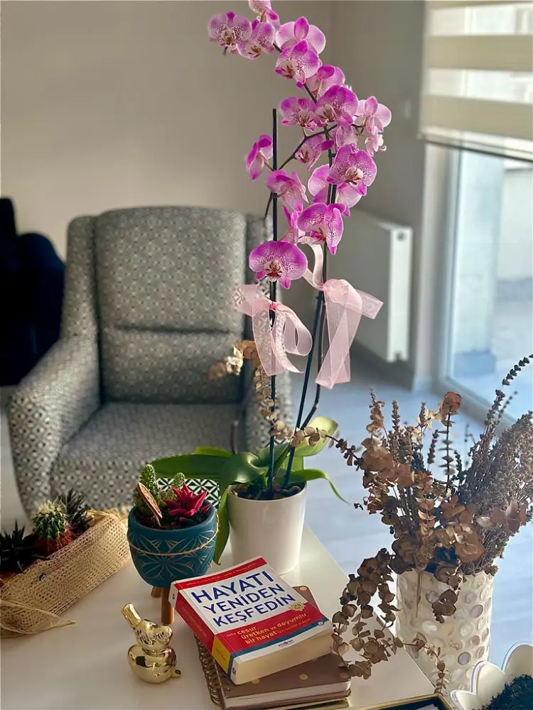 Batıkent Klinik Psikolog İlayda Gedik — Psikologlar, Yenimahalle · fotoğraf 3