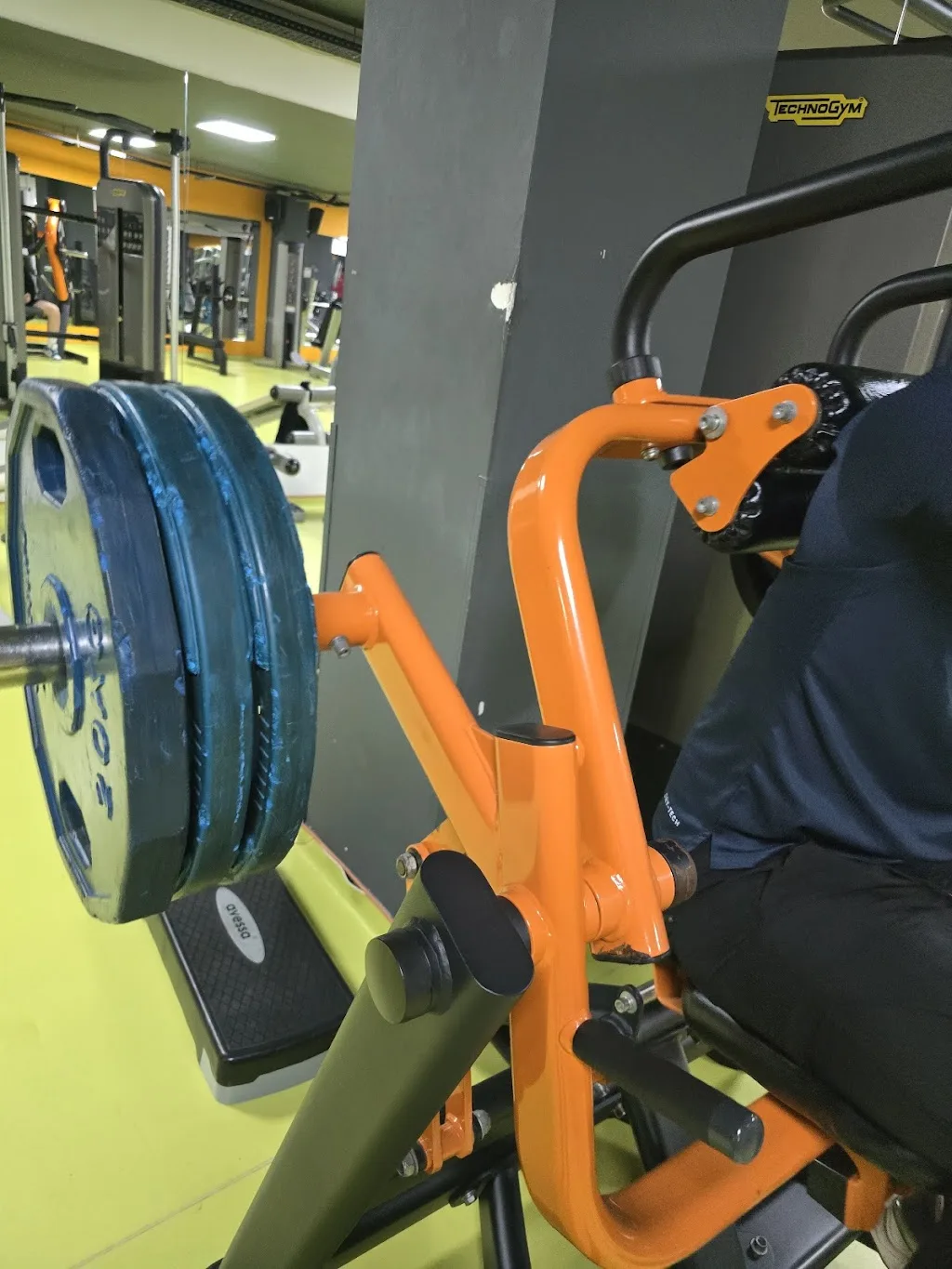 Gym Club Olympia — Yüzme Havuzları, İlkadım · fotoğraf 1