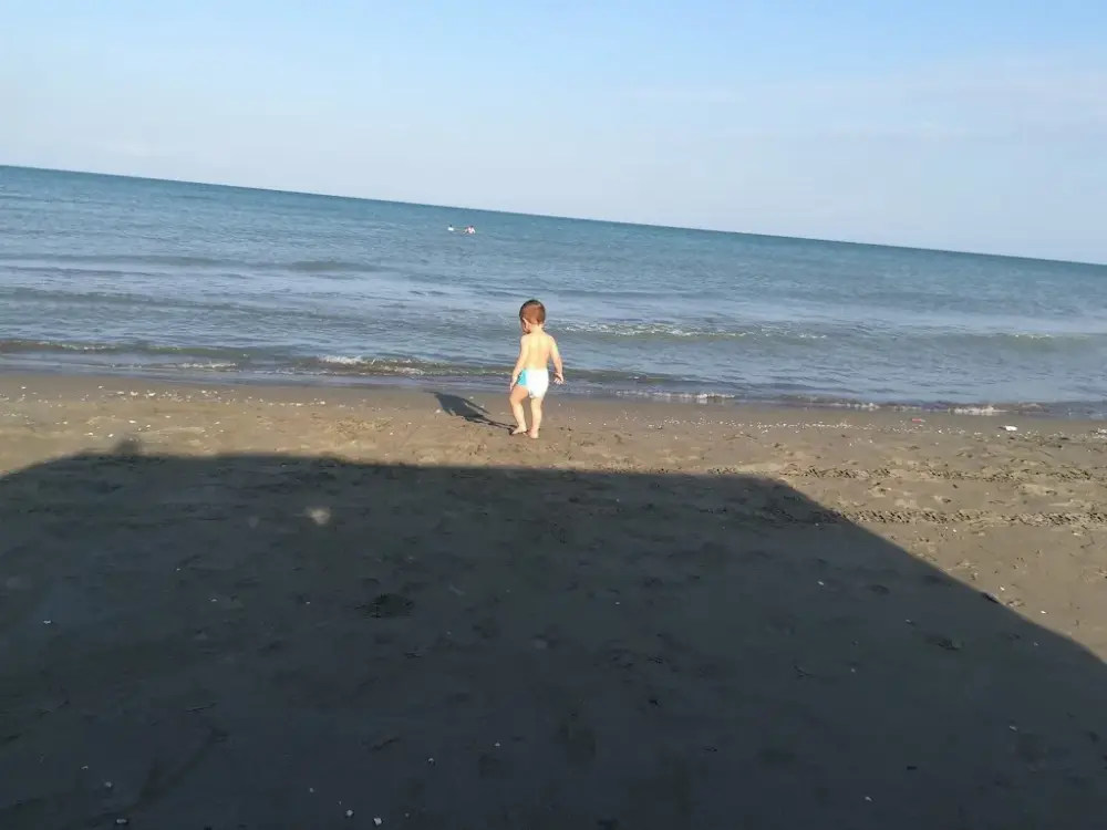 Su Oyunları Parkı — Yüzme Havuzları, Ondokuzmayıs · fotoğraf 5